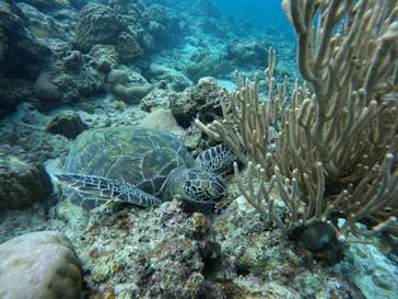  マリンショップHAPPYに投稿された画像（2025/11/1）