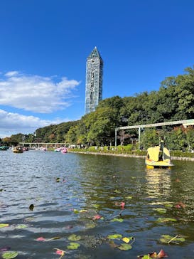 名古屋市東山動植物園に投稿された画像（2025/11/1）