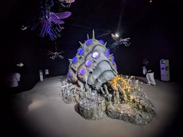 金曜ロードショーとジブリ展（静岡展）に投稿された画像（2025/11/1）