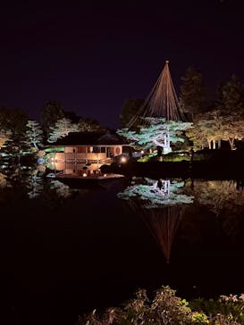 国営昭和記念公園 秋の夜散歩に投稿された画像（2025/11/1）