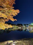国営昭和記念公園 秋の夜散歩に投稿された画像（2025/11/1）