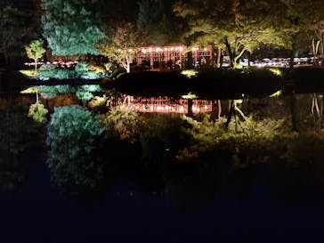 国営昭和記念公園 秋の夜散歩に投稿された画像（2025/11/1）