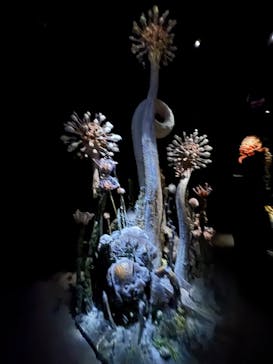 金曜ロードショーとジブリ展（静岡展）に投稿された画像（2025/11/1）