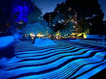 博多ライトアップウォーク実行委員会に投稿された画像（2025/11/1）