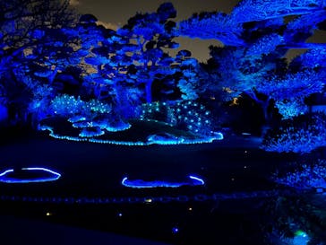 博多ライトアップウォーク実行委員会に投稿された画像（2025/11/1）