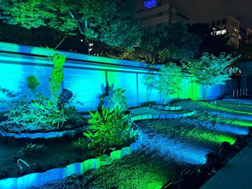 博多ライトアップウォーク実行委員会に投稿された画像（2025/11/1）