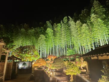 国営昭和記念公園 秋の夜散歩に投稿された画像（2025/11/1）