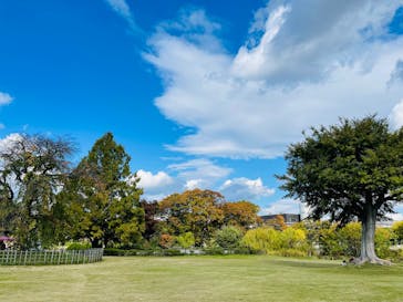 万博記念公園に投稿された画像（2025/11/1）