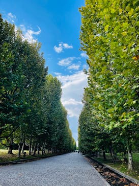 万博記念公園に投稿された画像（2025/11/1）