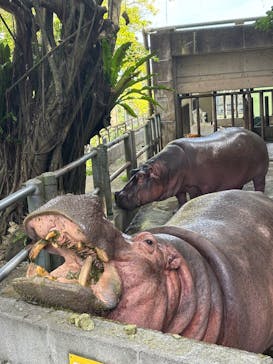 沖縄こどもの国に投稿された画像（2025/11/1）