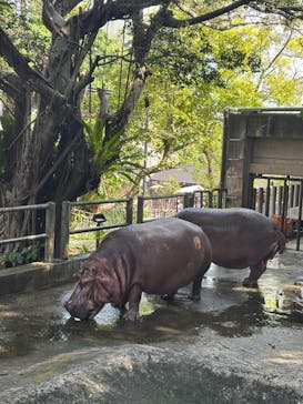 沖縄こどもの国に投稿された画像（2025/11/1）