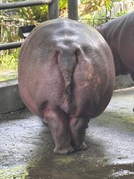 沖縄こどもの国に投稿された画像（2025/11/1）