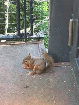 沖縄こどもの国に投稿された画像（2025/11/1）