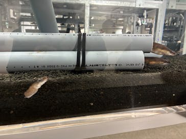 AOAO SAPPOROに投稿された画像（2025/11/1）