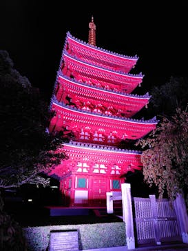 博多ライトアップウォーク実行委員会に投稿された画像（2025/11/1）