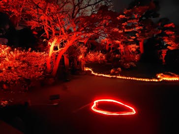 博多ライトアップウォーク実行委員会に投稿された画像（2025/11/1）