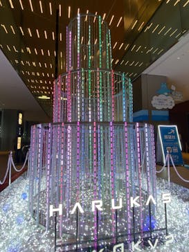 ハルカス300(展望台)に投稿された画像（2025/11/1）