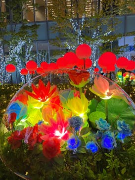 ハルカス300(展望台)に投稿された画像（2025/11/1）