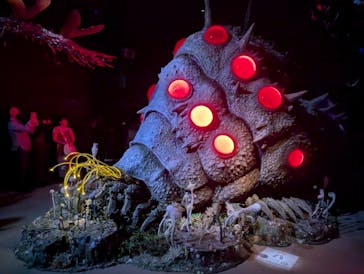 金曜ロードショーとジブリ展（静岡展）に投稿された画像（2025/11/1）