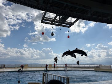 マリンワールド海の中道に投稿された画像（2025/11/1）