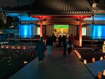 博多ライトアップウォーク実行委員会に投稿された画像（2025/11/1）