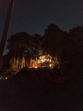 大井川鐵道株式会社に投稿された画像（2025/11/1）