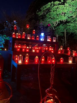 江の島シーキャンドルに投稿された画像（2025/11/1）