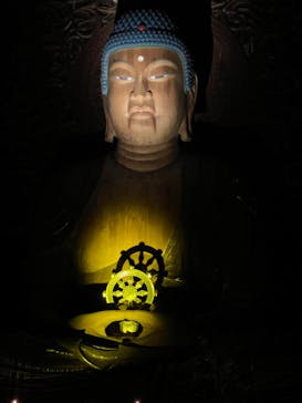 博多ライトアップウォーク実行委員会に投稿された画像（2025/11/1）