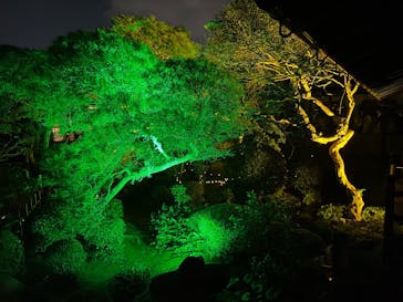 博多ライトアップウォーク実行委員会に投稿された画像（2025/11/1）