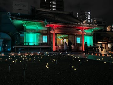 博多ライトアップウォーク実行委員会に投稿された画像（2025/11/1）