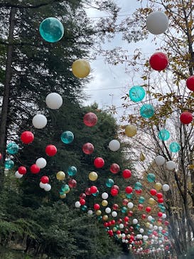 ムーミンバレーパークに投稿された画像（2025/11/1）