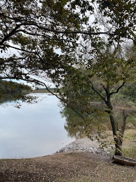 ムーミンバレーパークに投稿された画像（2025/11/1）