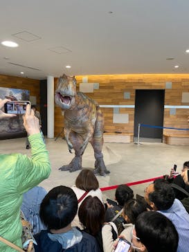福井県立恐竜博物館に投稿された画像（2025/11/1）