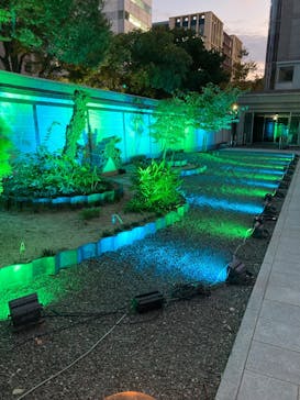 博多ライトアップウォーク実行委員会に投稿された画像（2025/11/1）