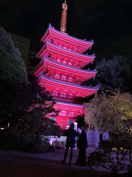 博多ライトアップウォーク実行委員会に投稿された画像（2025/11/1）