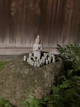 博多ライトアップウォーク実行委員会に投稿された画像（2025/11/1）