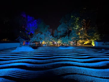 博多ライトアップウォーク実行委員会に投稿された画像（2025/11/1）