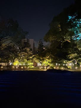 博多ライトアップウォーク実行委員会に投稿された画像（2025/11/1）