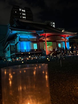 博多ライトアップウォーク実行委員会に投稿された画像（2025/11/1）