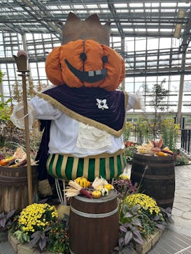 安城産業文化公園デンパークに投稿された画像（2025/11/1）