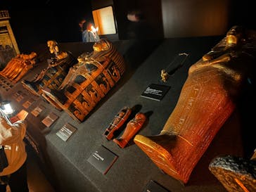 MYSTERY OF TUTANKHAMEN 体感型古代エジプト展に投稿された画像（2025/11/1）