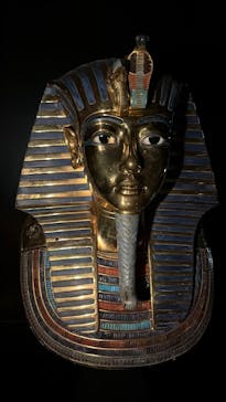 MYSTERY OF TUTANKHAMEN 体感型古代エジプト展に投稿された画像（2025/11/1）