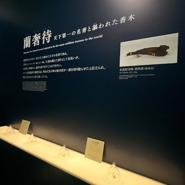 正倉院 THE SHOW ―感じる。いま、ここにある奇跡―　@上野の森美術館に投稿された画像（2025/11/1）