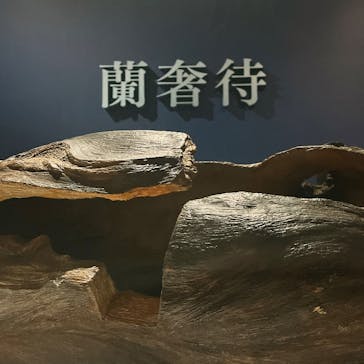 正倉院 THE SHOW ―感じる。いま、ここにある奇跡―　@上野の森美術館に投稿された画像（2025/11/1）