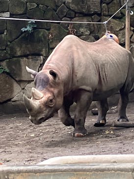 恩賜上野動物園に投稿された画像（2025/11/1）