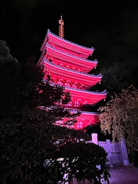 博多ライトアップウォーク実行委員会に投稿された画像（2025/11/1）