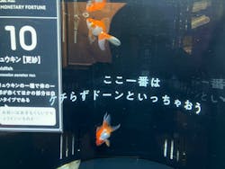 横浜開運水族館 フォーチュンアクアリウムに投稿された画像（2025/11/1）