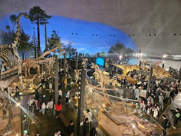 福井県立恐竜博物館に投稿された画像（2025/11/1）