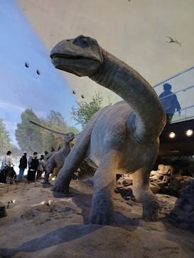 福井県立恐竜博物館に投稿された画像（2025/11/1）