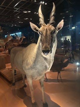 国立科学博物館に投稿された画像（2025/11/1）